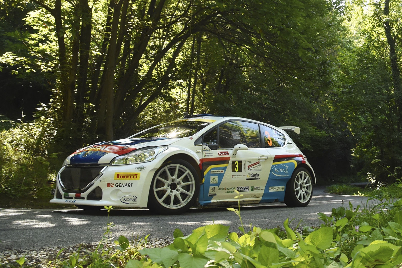 Rally del Friuli Venezia Giulia day 1: Paolo Andreucci al comando