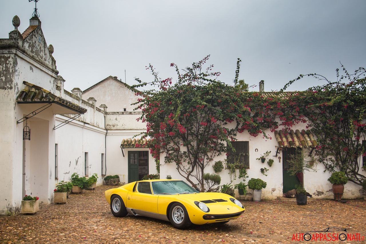 Lamborghini Miura Compie 50° Anni [VIDEO]