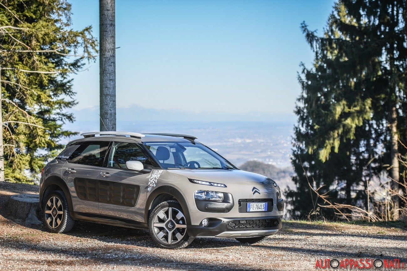 Citroen C4 Cactus Rip Curl