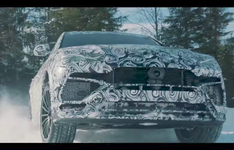 Urus sulla neve