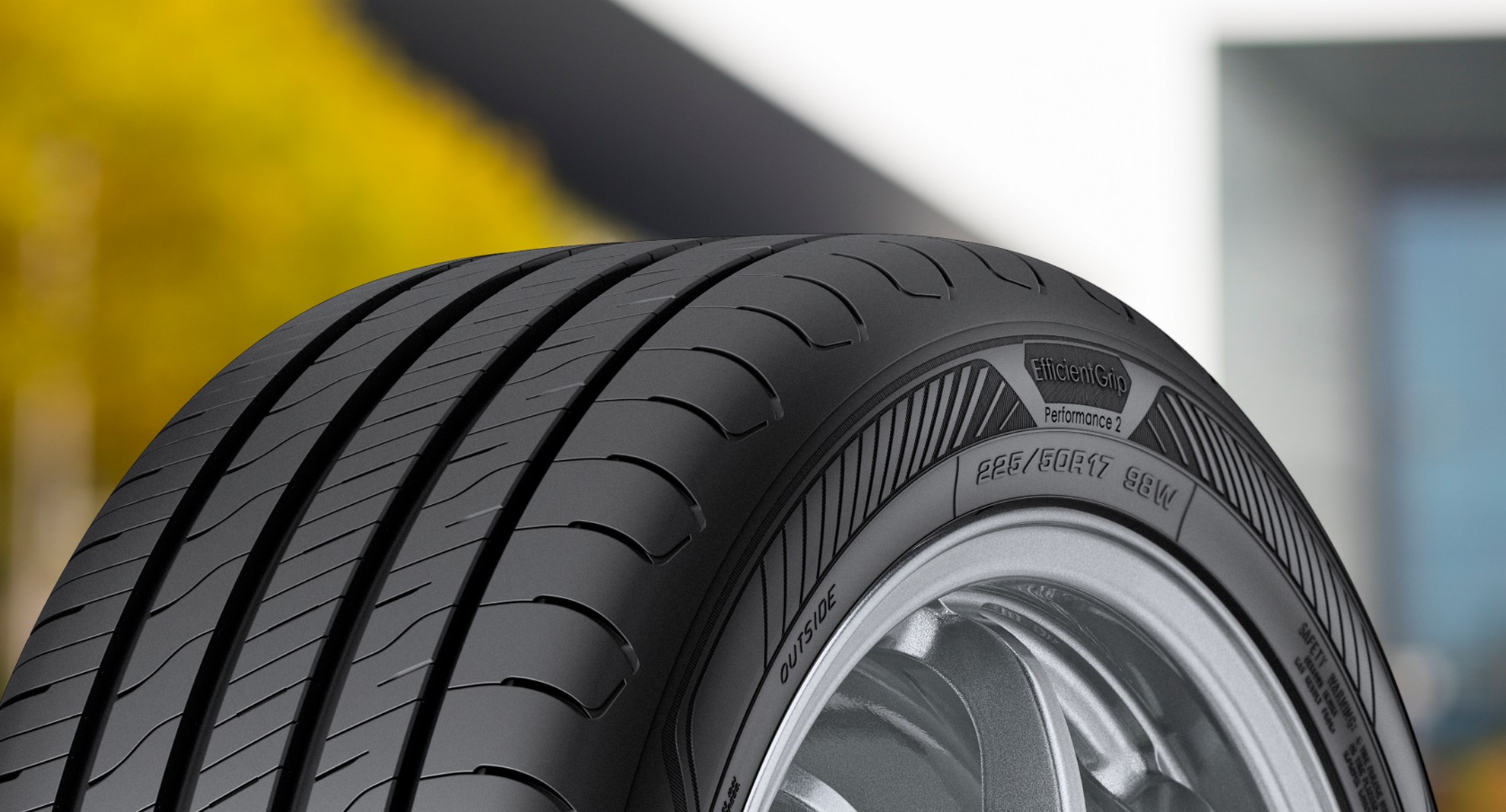 Goodyear EfficientGrip Performance2