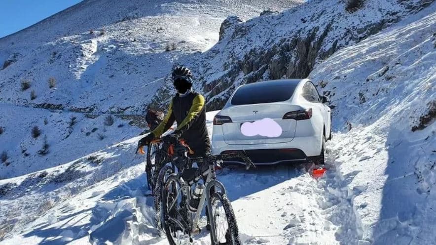 tesla nella neve