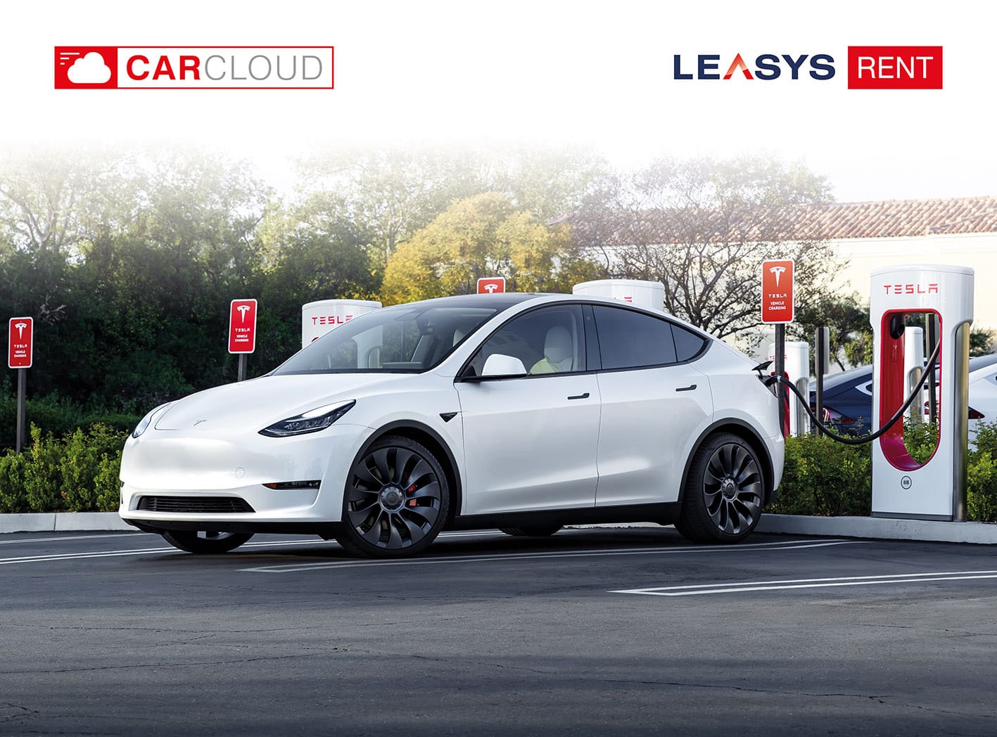 CarCloud Tesla Model Y: nasce il noleggio dedicato all’elettrica americana