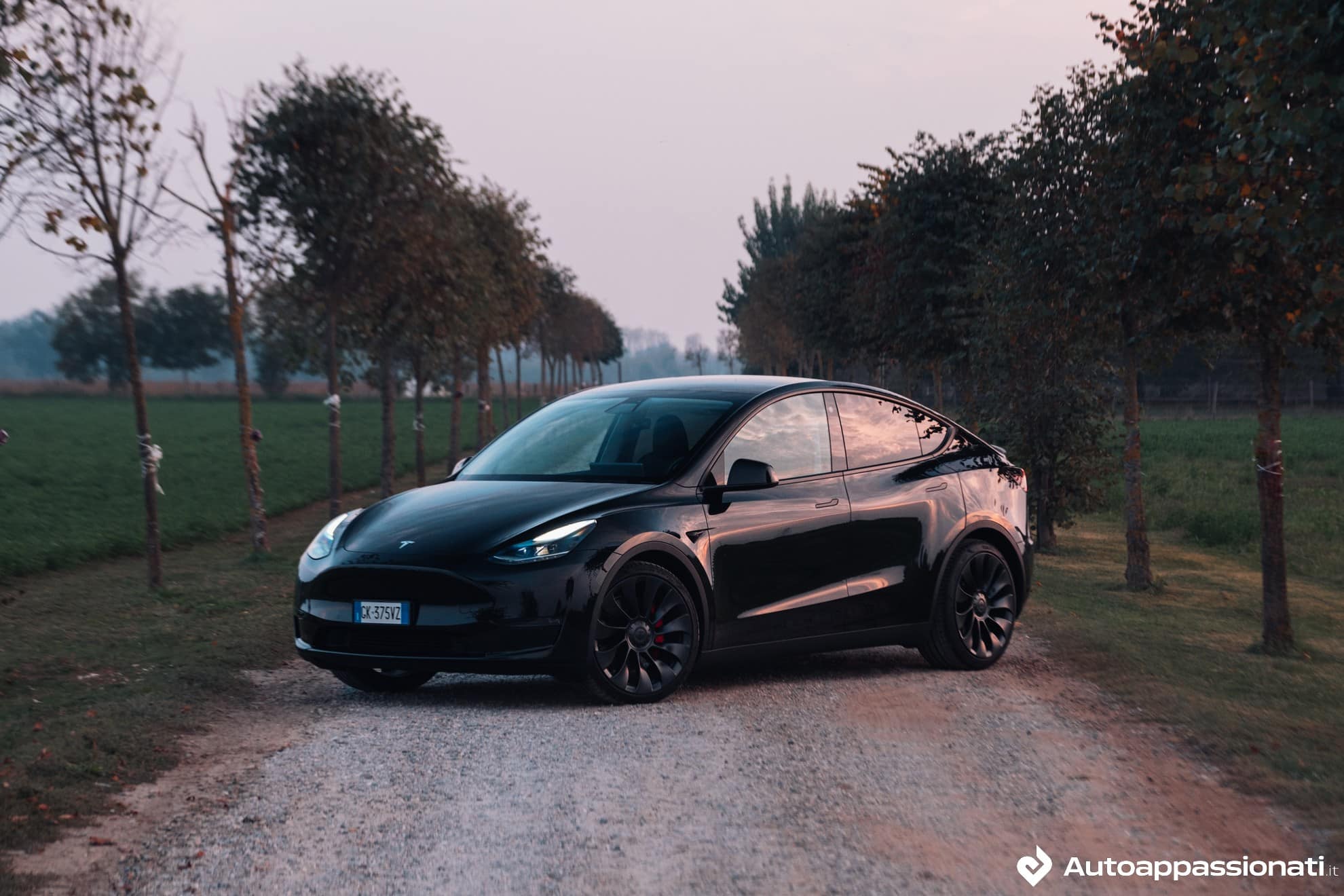 Tesla Model Y Performance_16