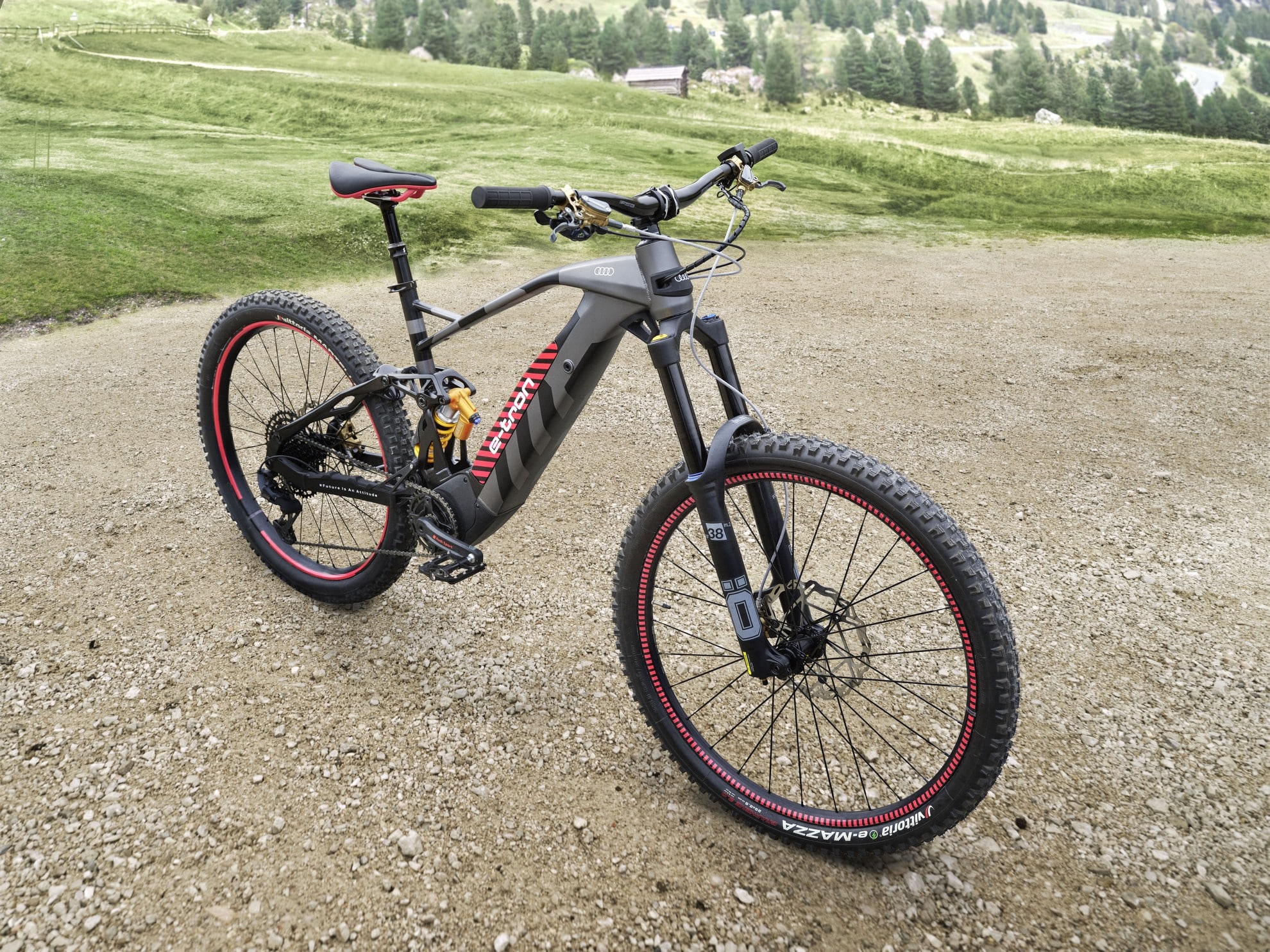 mountain bike elettrica