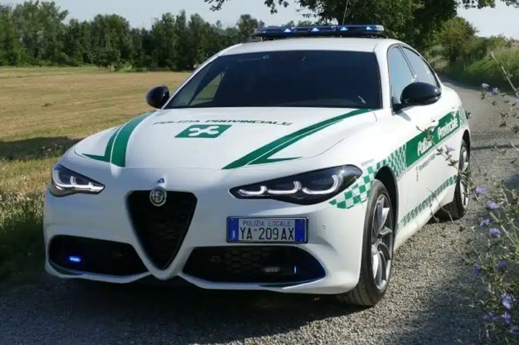 alfa romeo giulia provinciale pavia