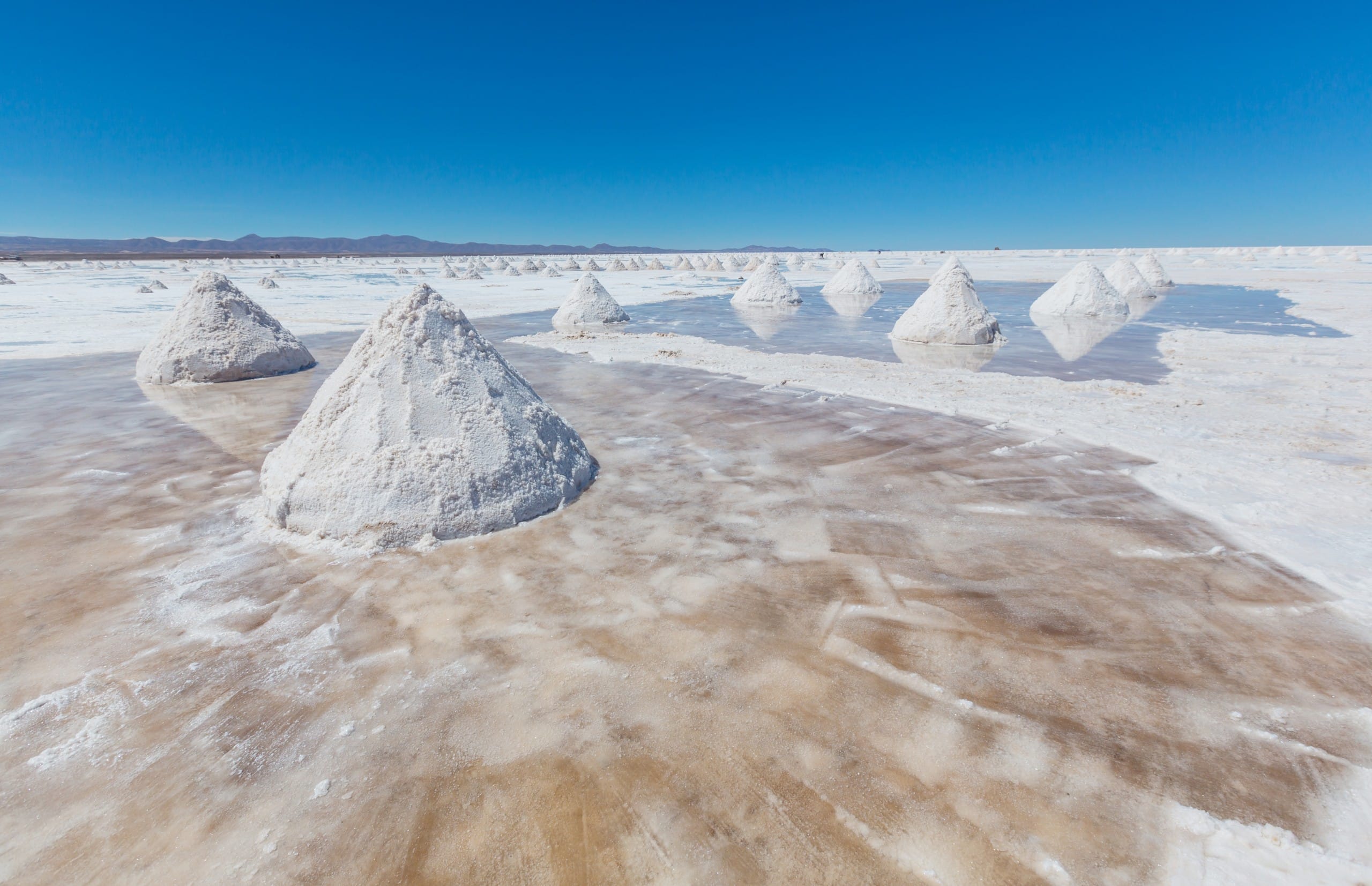 saline boliviane litio