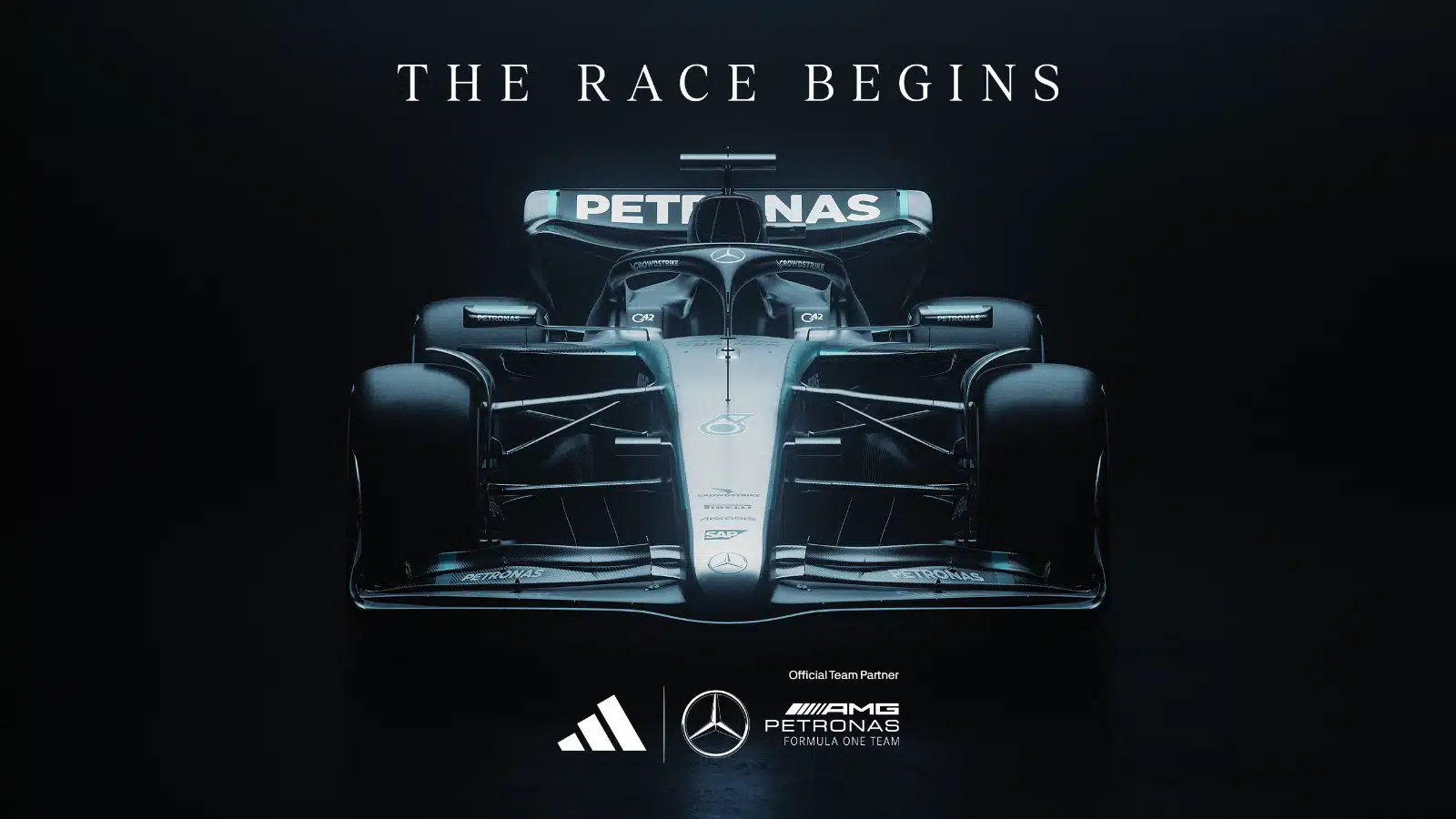 Adidas Mercedes F1